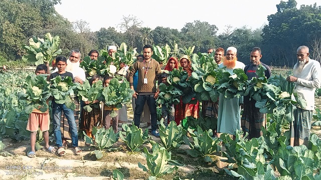 মেহেরপুর, রাজবাড়ীর পর নওগাঁর কৃষকদের পাশে স্বপ্ন