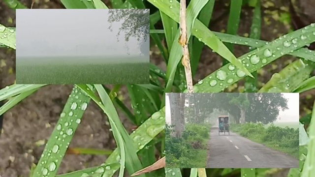 ভ্যাপসা গরমের মধ্যেই হিলিতে ঘন কুয়াশা