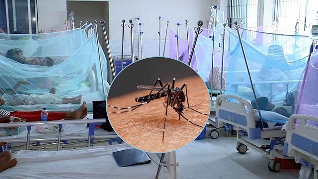 ডেঙ্গুতে একদিনে আরও ৫ মৃত্যু