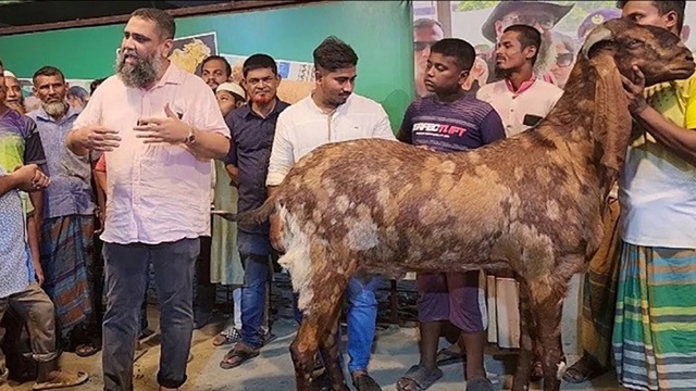 সাদিক অ্যাগ্রোর চেয়ারম্যান ইমরান গ্রেফতার