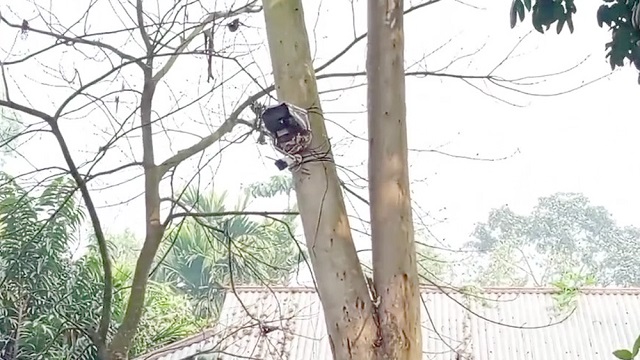 শূন্যরেখায় বিএসএফের সিসি ক্যামেরা স্থাপন, বিজিবির প্রতিবাদ