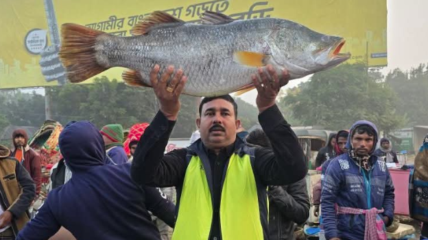 ১১ কেজির কোরাল ১৭ হাজার ৬০০ টাকায় বিক্রি