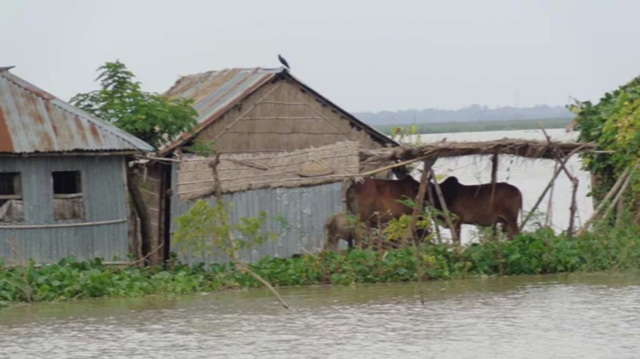 আকস্মিক বন্যায় তলিয়ে গেছে ফসলি জমি