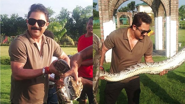 শুটিং সেটে ঢুকে পড়ল অজগর