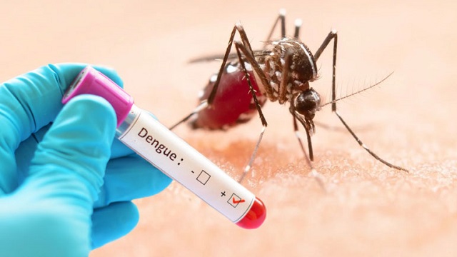 ডেঙ্গুতে আরো ৭ জনের মৃত্যু, হাসপাতালে ৮৬০