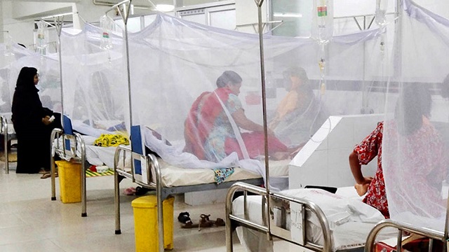 ডেঙ্গুতে আরও ১৪ জনের মৃত্যু, নতুন শনাক্ত ২১১৫