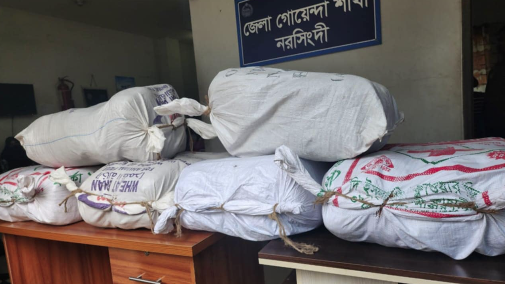 লটকন বাগান থেকে গাঁজা উদ্ধার