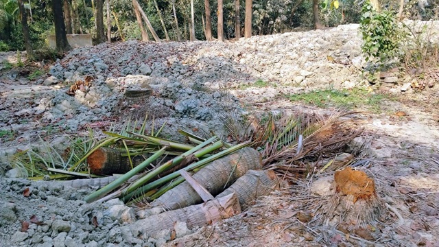 জোরপূর্বক জমি দখলের অভিযোগ জামায়াত নেতার বিরুদ্ধে