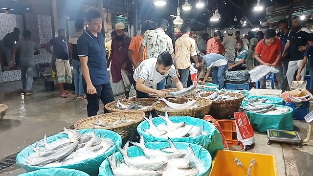 ভরা মৌসুমেও সাধারণ মানুষ কিনতে পারছে না ইলিশ