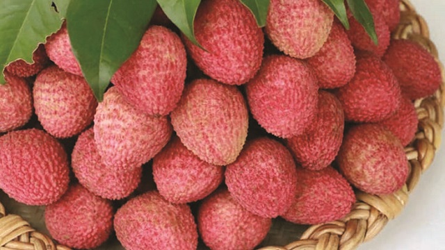 শিশুরা লিচু খাওয়ার সময় বড়রা যা করবেন