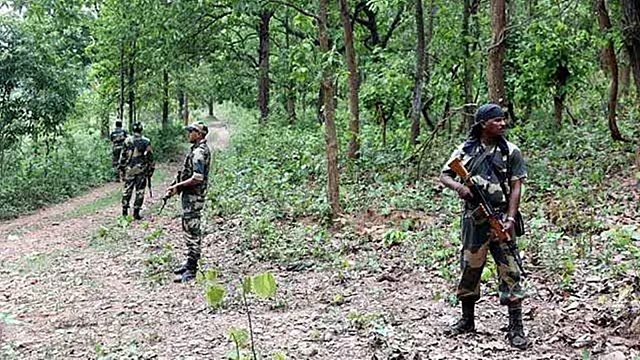 ভারতে জঙ্গলে ব্যাপক বন্দুকযুদ্ধ, ২ জওয়ানসহ নিহত ১৪