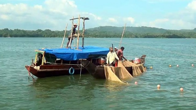১০ দিন আগেই কাপ্তাই হ্রদে মাছ শিকারে নিষেধাজ্ঞা