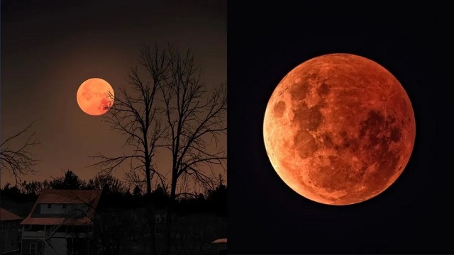 চন্দ্রগ্রহণের দিকে খালি চোখে তাকানো কি নিরাপদ