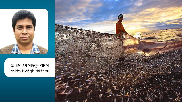 মৎস্যসম্পদ উন্নয়নে করণীয় কী?