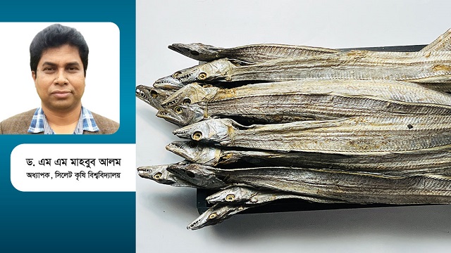 শুঁটকি মাছের অর্থনৈতিক গুরুত্ব