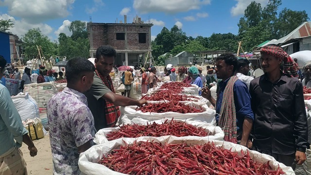 ব্রহ্মপুত্রের পাড়ে লাল মরিচের অস্থায়ী হাটে ব্যবসায়ীদের ভোগান্তি