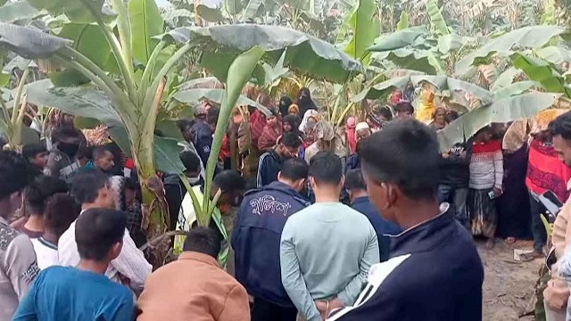 নরসিংদীতে ধানখেত থেকে অটোচালকের মরদেহ উদ্ধার