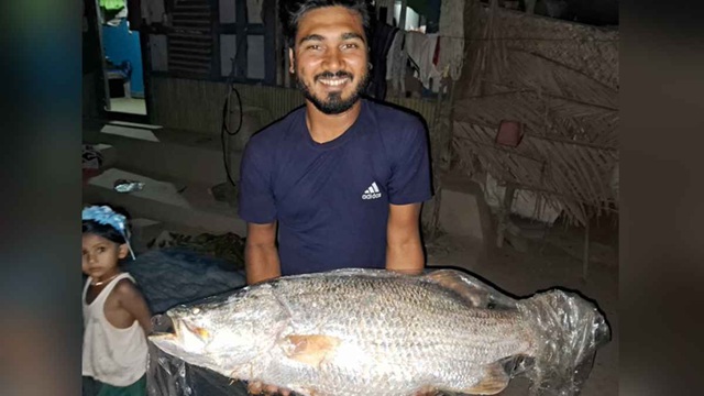 সোনাতলা নদীতে জেলের জালে উঠে এলো ১২ কেজির কোরাল