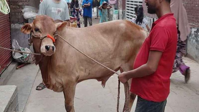 নামাজ না পড়লে কোরবানি হবে?