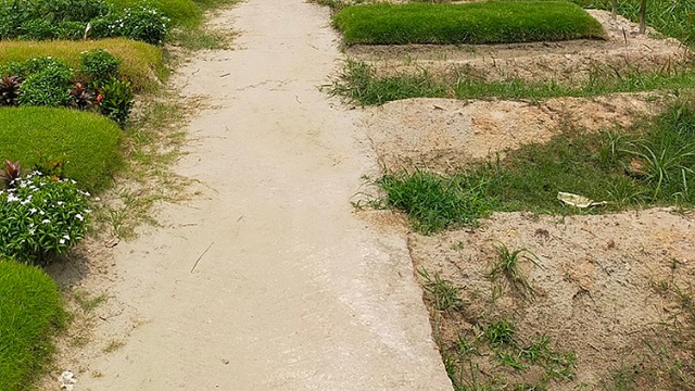 বিকেলে রায়েরবাজার কবরস্থান থেকে অজ্ঞাত লাশ উত্তোলন শুরু