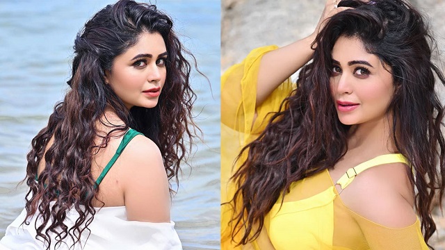 হলুদ সাংবাদিকতা বন্ধের আহ্বান ঋতাভরীর