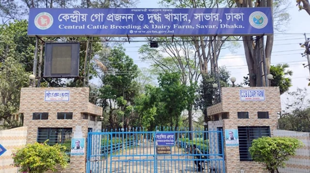 সাভারে দুগ্ধ খামারে মিলল শ্রমিকের মরদেহ