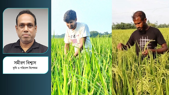 আউশ ও আমন মৌসুমে কৃষকের বিকল্প কী?