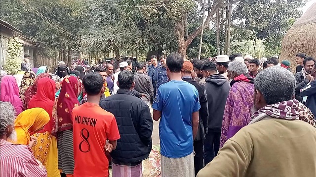 শেরপুরে বিদ্যুৎস্পৃষ্ট হয়ে প্রাণ গেল দুই কৃষকের 