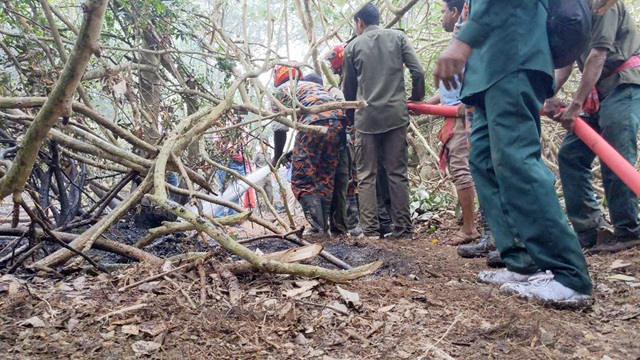 সুন্দরবনে নতুন এলাকায় ফের ধোঁয়ার কুণ্ডলী