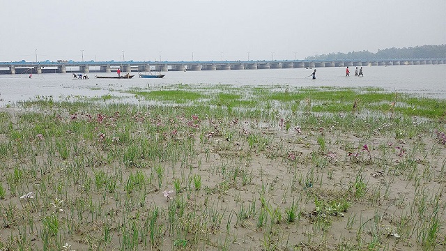 তিস্তায় পশ্চিমবঙ্গের জলবিদ্যুৎ প্রকল্প, উৎকণ্ঠায় ঢাকা