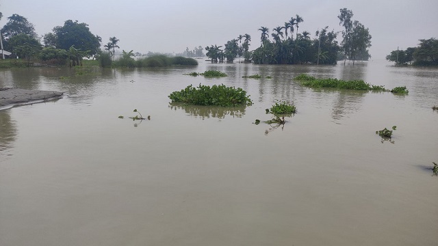 তিস্তার পানি বিপৎসীমার ওপরে, নিম্নাঞ্চল প্লাবিত