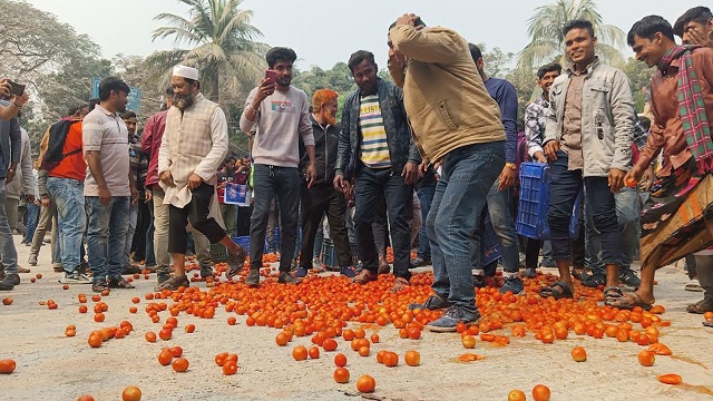 মহাসড়কে টমেটো ফেলে চাষিদের বিক্ষোভ 
