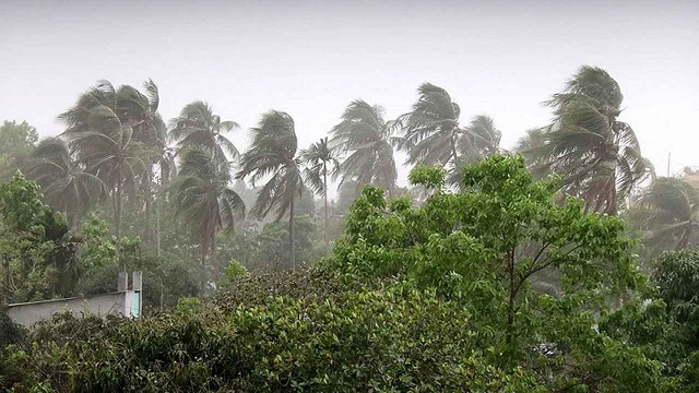 রাতের মধ্যে তীব্র ঝড়, আঘাত করবে ৮০ কিমি বেগে