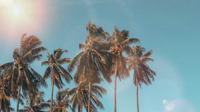 যেমন থাকতে পারে ঈদের দিনের আবহাওয়া