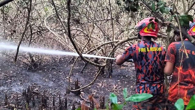 সুন্দরবনে ২২ বছরে ২৫ বার আগুন
