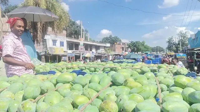 ছবি ‍: সংগৃহীত