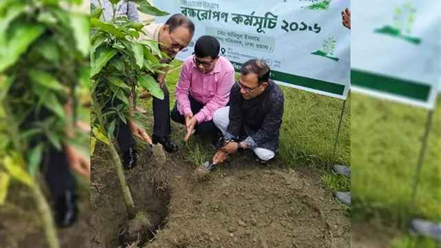 ছবি ‍: সংগৃহীত