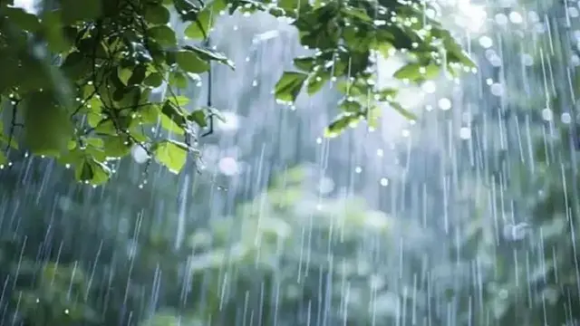 ছবি ‍: সংগৃহীত
