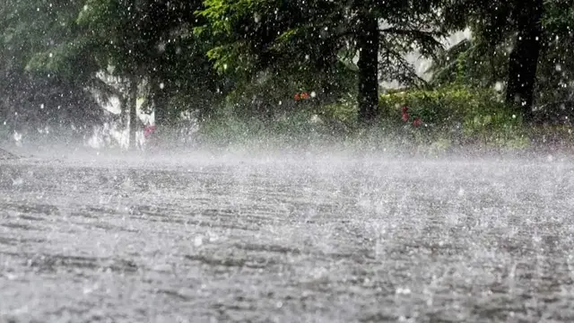 ছবি ‍: সংগৃহীত