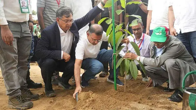 সব মাধ্যমিকে বৃক্ষরোপণ কর্মসূচি, দুপুরে উদ্বোধন করবেন প্রধানমন্ত্রী
