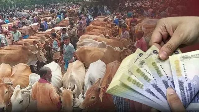 ছবি ‍: সংগৃহীত