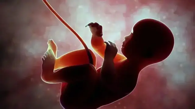 প্রতীকী ছবি