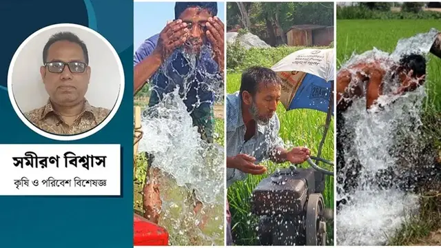 সূর্যের আগুন আর সবুজের আর্তনাদ