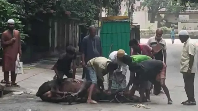 ঢাকায় ঈদের দ্বিতীয় দিনেও চলছে পশু কোরবানি