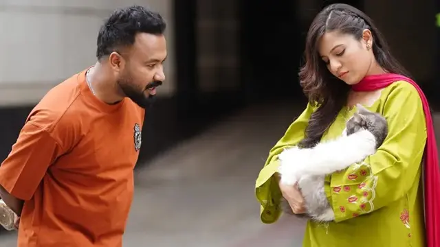 ফাইল ছবি