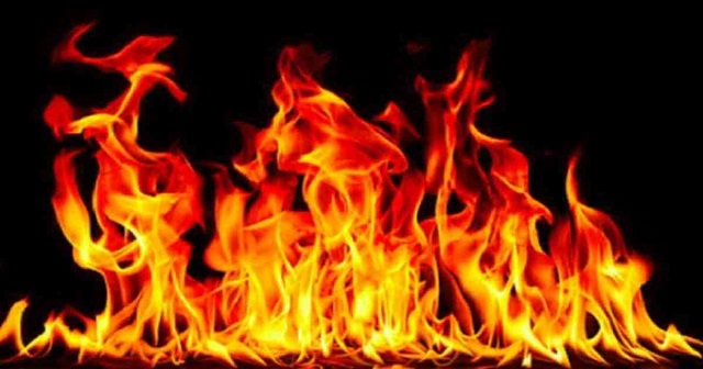 বগুড়ায় আগুনে পুড়ে অঙ্গার ৩ হাজার মুরগি