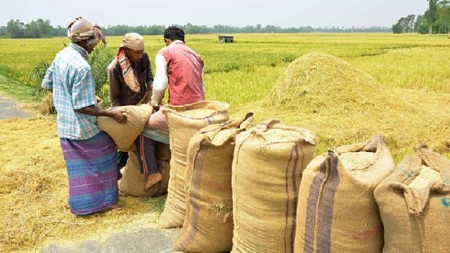 ৪০ টাকায় সেদ্ধ, ৩৯ টাকায় আতপ চাল কিনবে সরকার