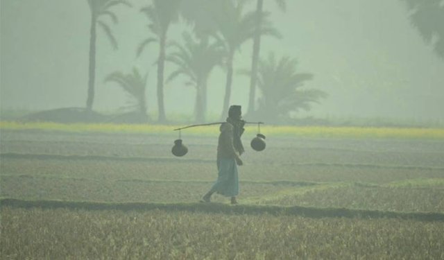 শীত বিদায় নিবে মাঘের মাঝামাঝি