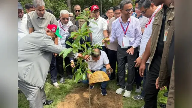 ছবি ‍: সংগৃহীত
