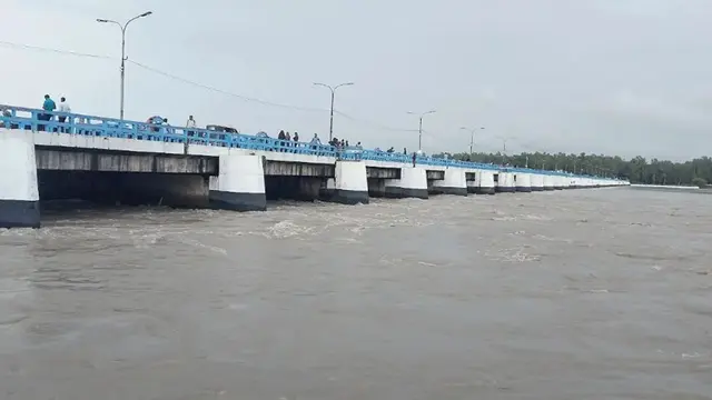 ফাইল ছবি